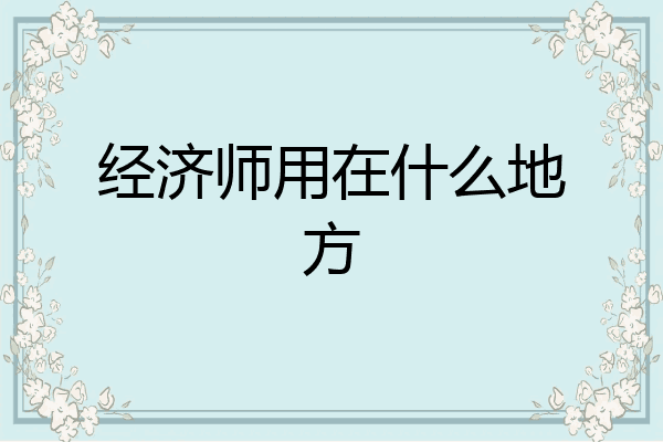 经济师用在什么地方