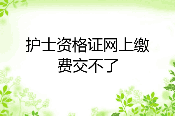护士资格证网上缴费交不了