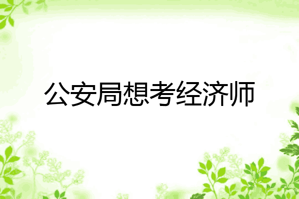 公安局想考经济师