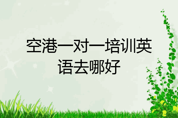 空港一对一培训英语去哪好