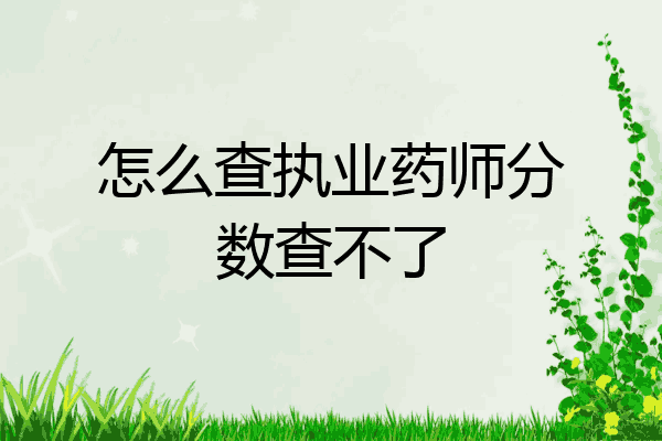 怎么查执业药师分数查不了