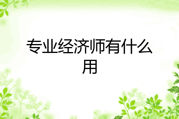 专业经济师有什么用