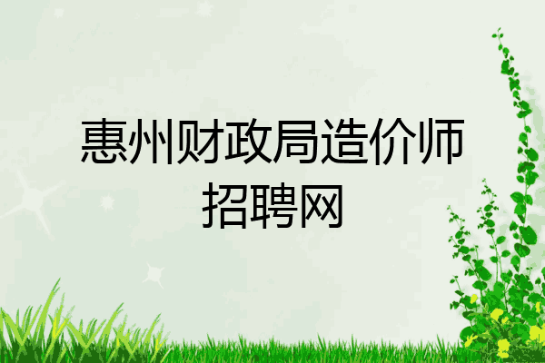 惠州财政局造价师招聘网