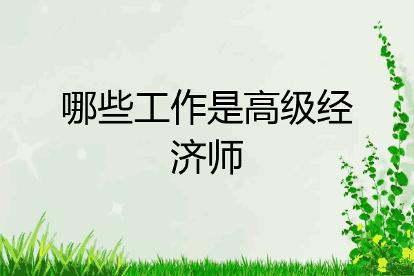 哪些工作是高级经济师
