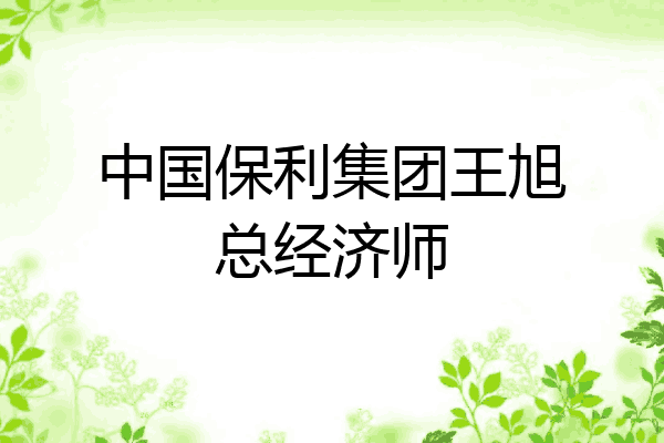 中国保利集团王旭总经济师