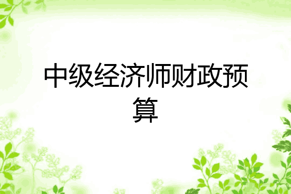 中级经济师财政预算