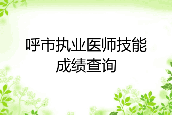 呼市执业医师技能成绩查询