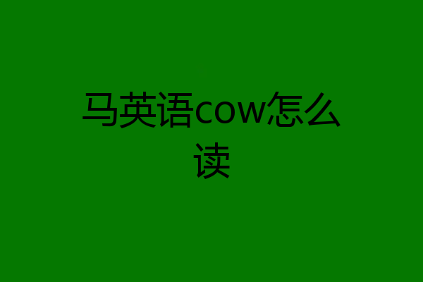 马英语cow怎么读