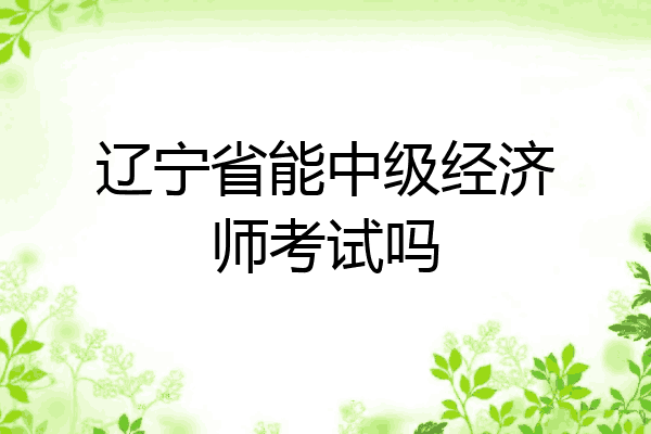 辽宁省能中级经济师考试吗