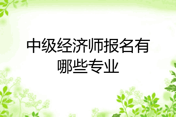 中级经济师报名有哪些专业