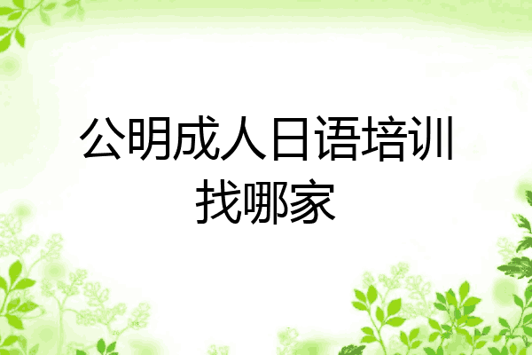 公明成人日语培训找哪家