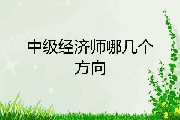 中级经济师哪几个方向