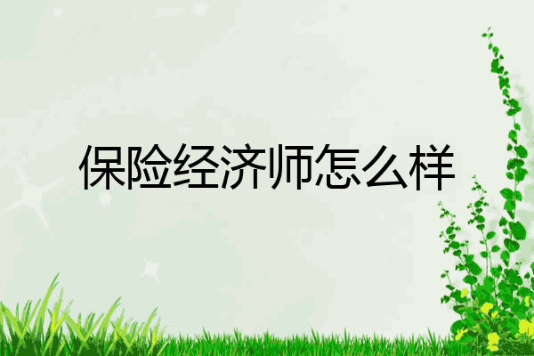 保险经济师怎么样