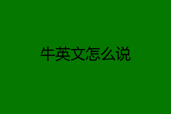 牛英文怎么说