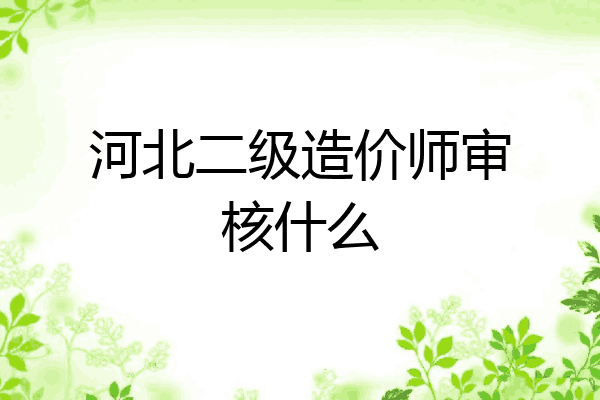 河北二级造价师审核什么