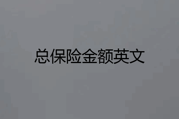 总保险金额英文