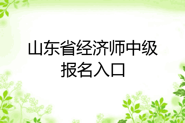 山东省经济师中级报名入口