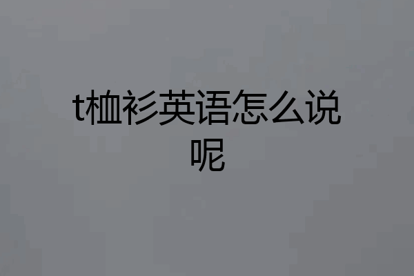 t桖衫英语怎么说呢