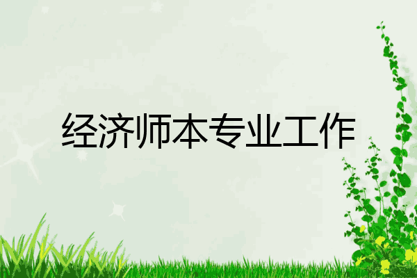 经济师本专业工作