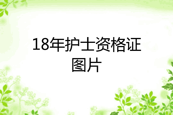 18年护士资格证图片