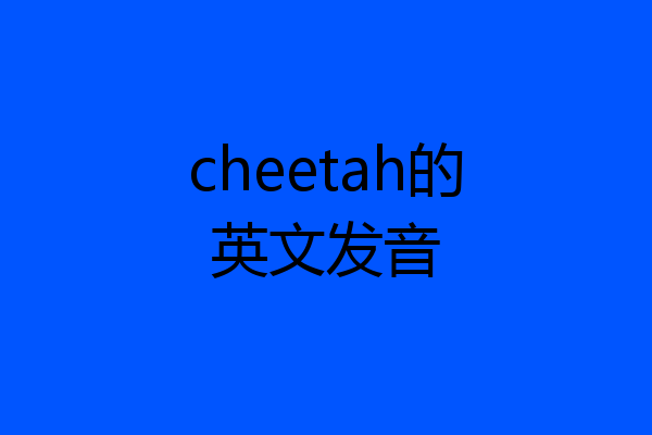 cheetah的英文发音
