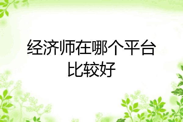 经济师在哪个平台比较好