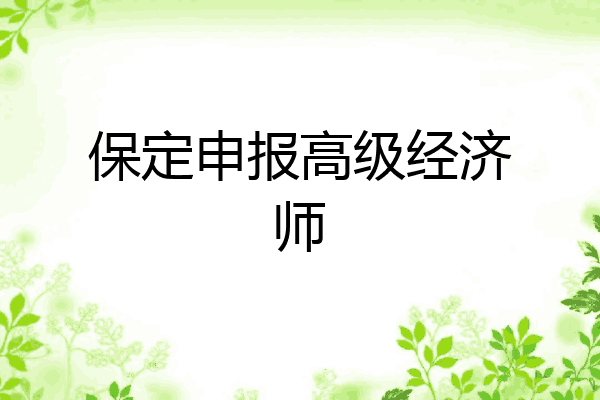 保定申报高级经济师