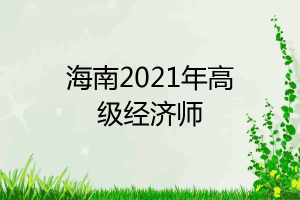 海南2021年高级经济师