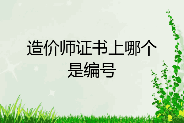 造价师证书上哪个是编号