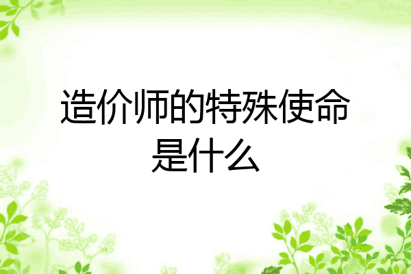造价师的特殊使命是什么