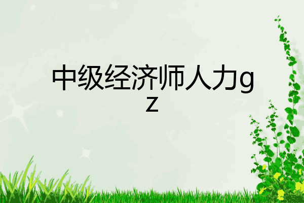 中级经济师人力gz