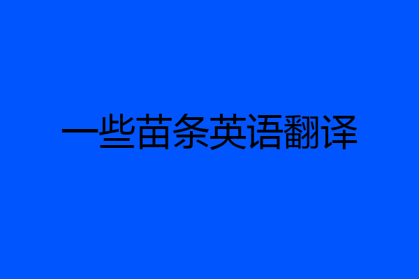 一些苗条英语翻译