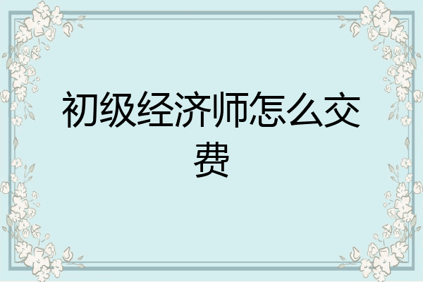 初级经济师怎么交费