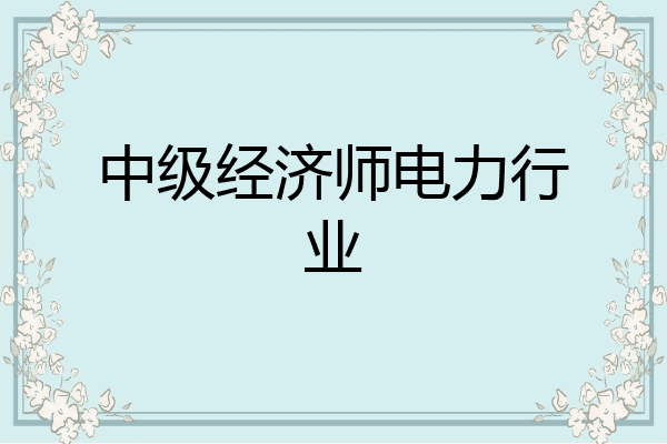 中级经济师电力行业