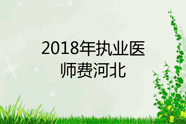 2018年执业医师费河北