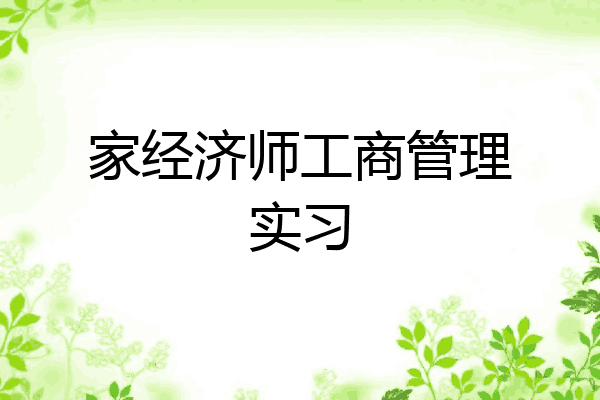 家经济师工商管理实习