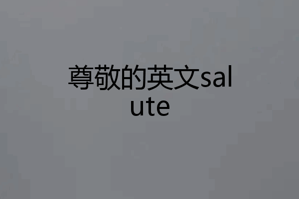 尊敬的英文salute