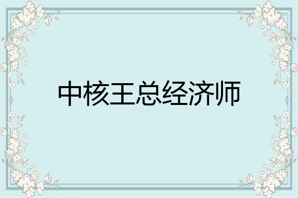 中核王总经济师