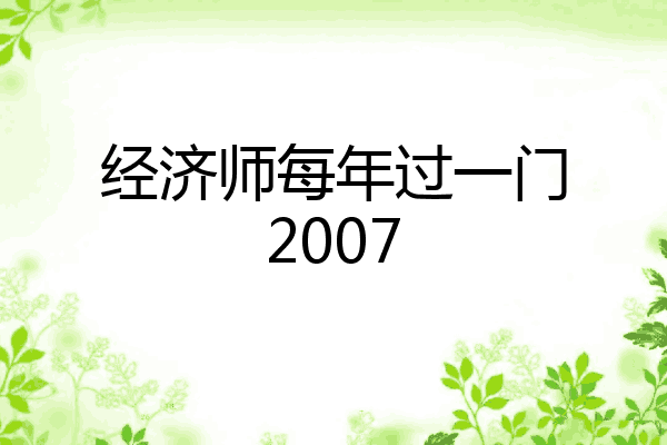 经济师每年过一门2007