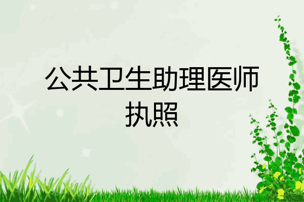 公共卫生助理医师执照