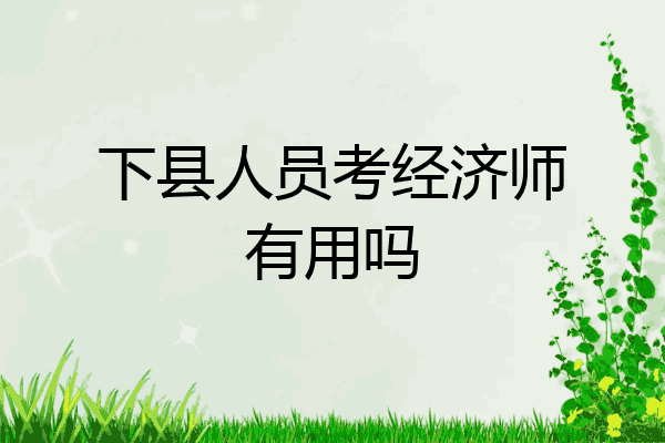 下县人员考经济师有用吗