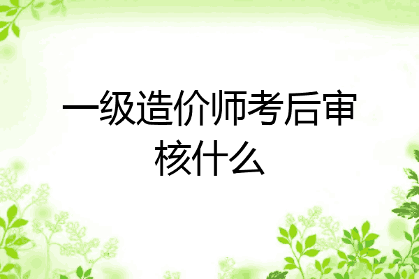 一级造价师考后审核什么
