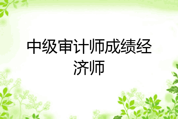 中级审计师成绩经济师