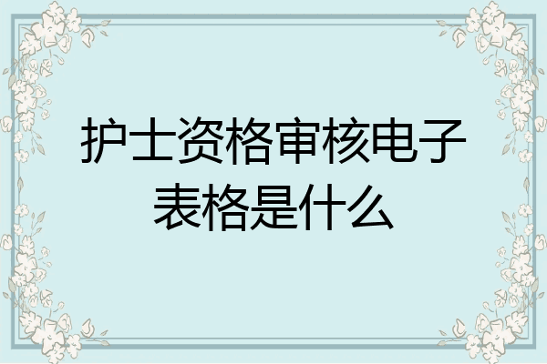 护士资格审核电子表格是什么