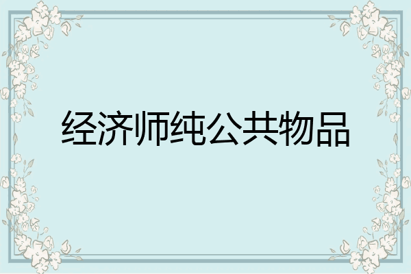 经济师纯公共物品