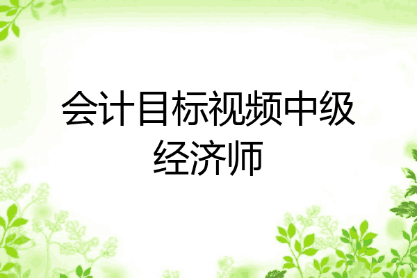 会计目标视频中级经济师