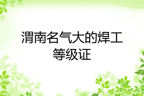 渭南名气大的焊工等级证