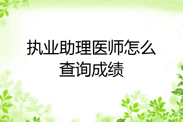 执业助理医师怎么查询成绩