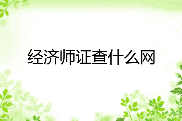 经济师证查什么网