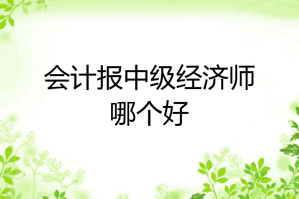 会计报中级经济师哪个好
